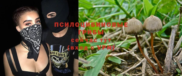 mdpv Арсеньев
